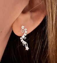 Load image into Gallery viewer, Limited Edition - Sterling Silver Sparkle Climber Earrings