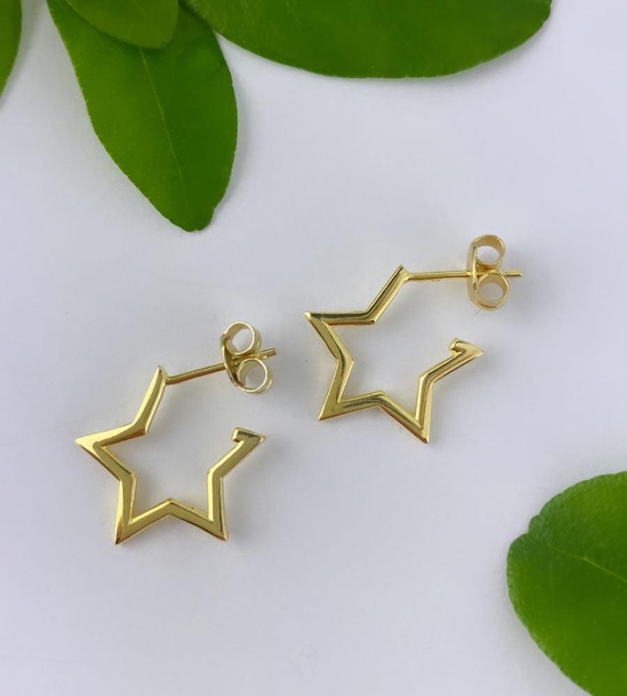 gold star hoops
